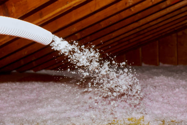 Best Energy Efficiency Solutions in Warren, MI