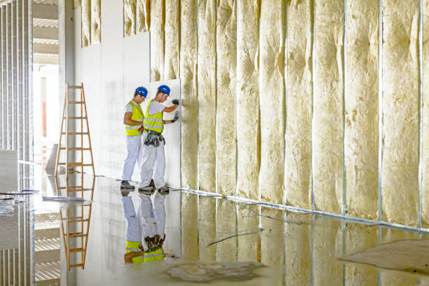 Best Insulation for Specific Applications in Warren, MI